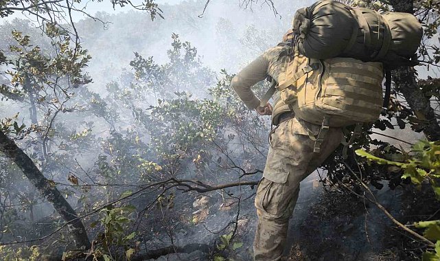 Tunceli'deki yangına, karadan ve havadan müdahale sürüyor