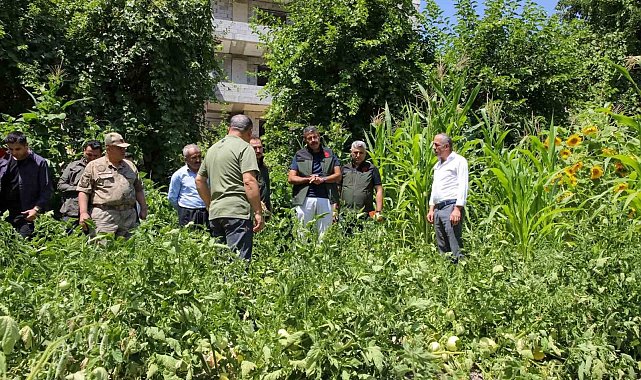 Vali Çelik: "Hakkari'nin verimli toprakları değerlendirilecek"