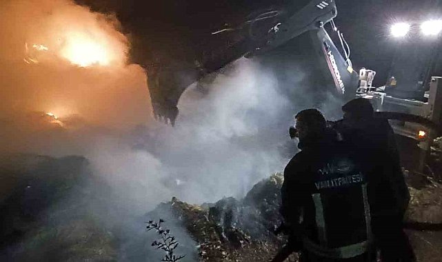 Van'da 2 bin 500 bağ ot yandı