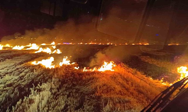 Van'da anız yangını