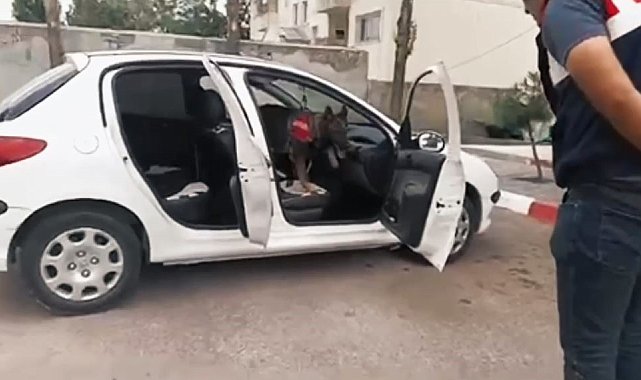 Van'da araç içinde uyuşturucu ele geçirildi