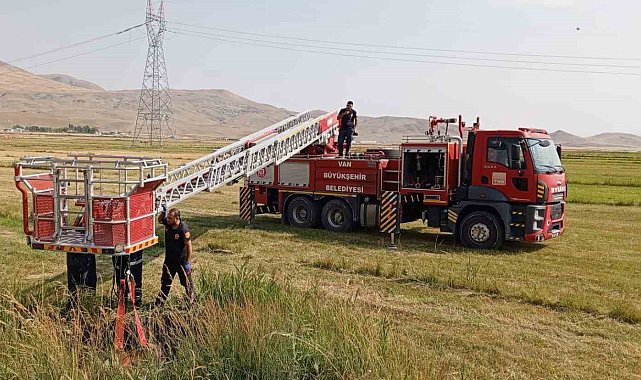 Van'da inek kurtarma operasyonu