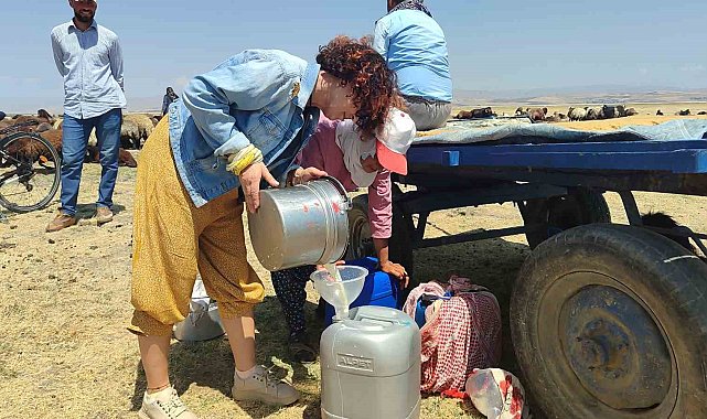 Yalova'dan bisikletiyle Muş'a gelen aktivist kadın, Berivanlarla birlikte koyun sağdı