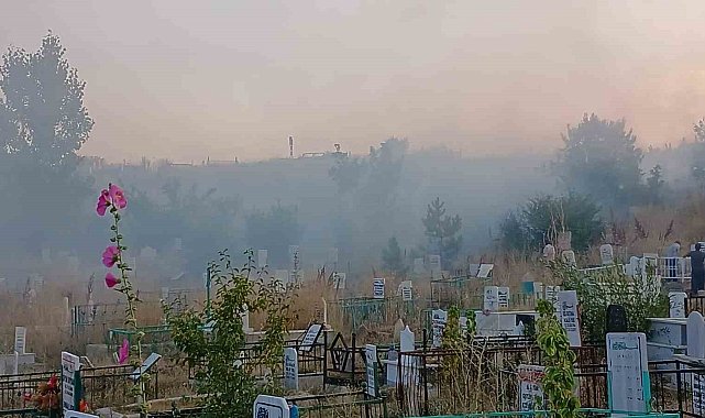 Yüksekova'da mezarlıkta çıkan yangın korkuttu
