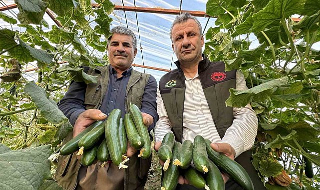 Yüksekova'da seracılık gelişiyor