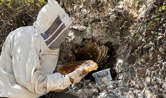 12 yıl önce Cilo Dağı'nda keşfettiği kaya balının kilosunu 3 bin TL'den satıyor
