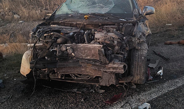 Ağrı'da otomobillerin çarptığı hayvanlar telef oldu, 3 kişi yaralandı