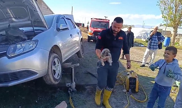 Ağrı'da araçta sıkışan yavru köpeği itfaiye ekibi kurtardı