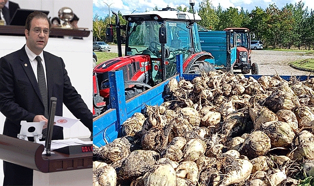 Alp: Pancar üreticisi emeğinin karşılığını almalı