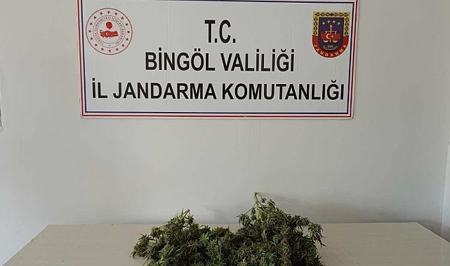 Bingöl'de uyuşturucuyla mücadele sürüyor