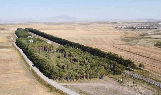 Bozkırın ortasındaki vahada Eylül güzelliği