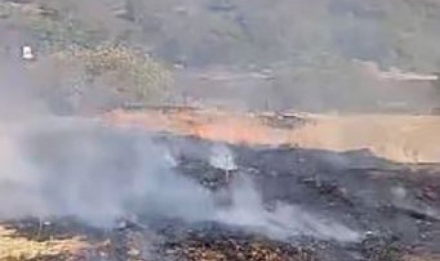 Elazığ'da otluk alanda yangın