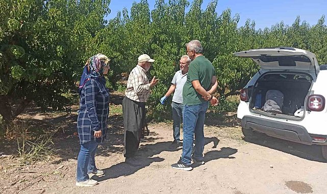 Elazığ'da şeftali bahçelerinde zararlı kontrolleri devam ediyor
