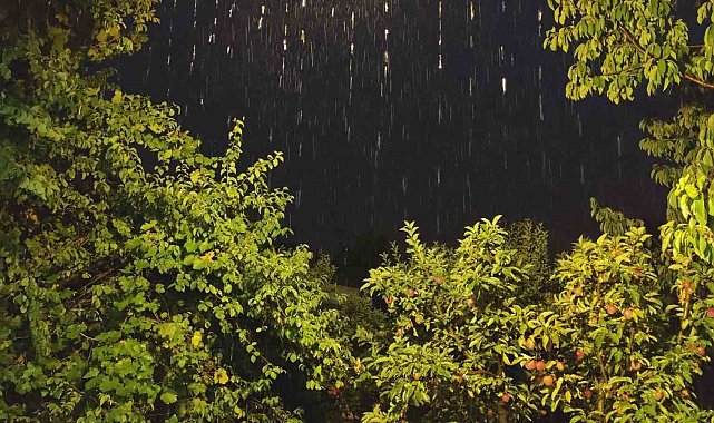 Erciş'te şiddetli yağış etkili oldu