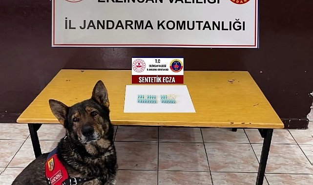 Erzincan'da jandarma mıntıkasında Ağustos ayında meydana gelen olayların yüzde 98'i aydınlatıldı