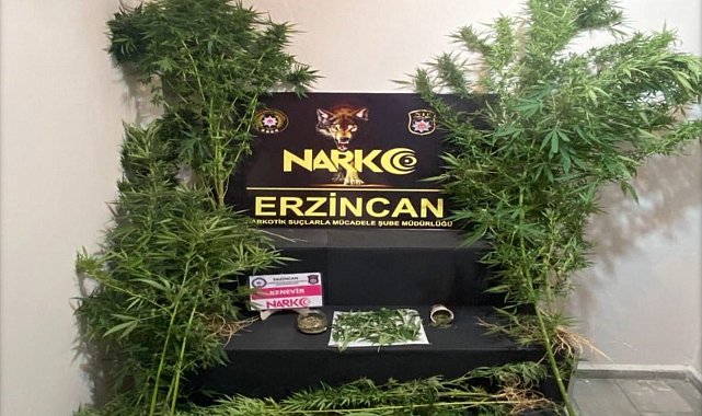 Erzincan'da uyuşturucu ticareti yapan 1 kişi tutuklandı
