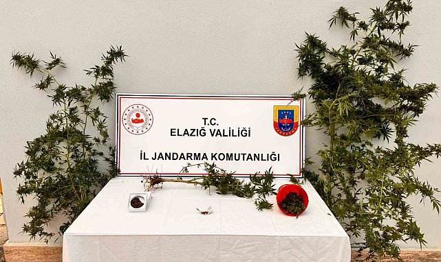 Evinin bahçesine uyuşturucu ekmiş