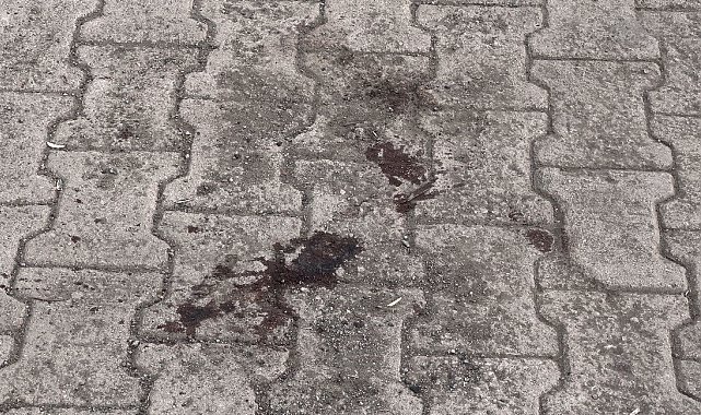 Fransız turiste bıçaklı saldırı