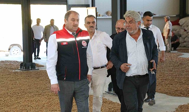 İşadamı Kemaliye'de 5 bin badem ağacı dikti