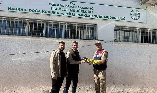 Jandarmadan doğan yavrusuna şefkat eli