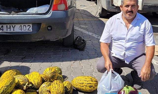 Karpuz gibi patlıcan