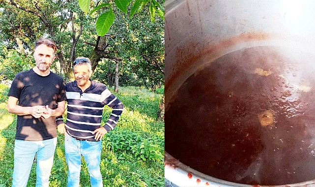 Kars'ın Çalgavur köyünde reçel zamanı 