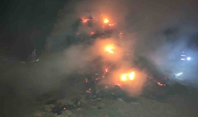 Kars'ta ot yangını: 2 bin 500 balya ot kül oldu