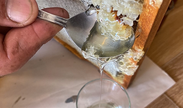 Kovanı açıp yeşil bal görünce şaşırdı