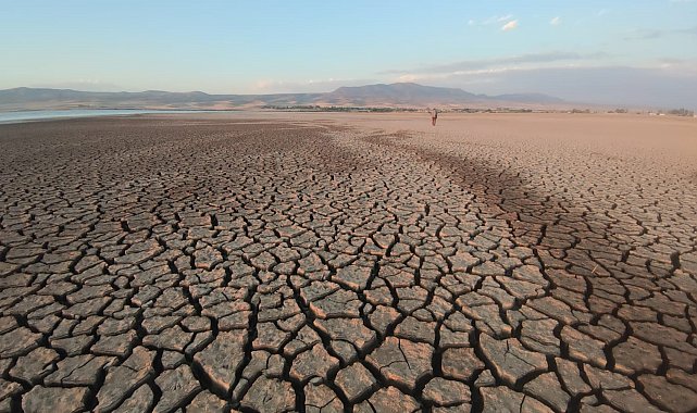 Kuş cenneti Erçek Gölü'ndeki çekilme tehlikeli seviyeye ulaştı