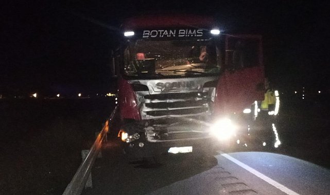 Muş'ta trafik kazası: 1 yaralı