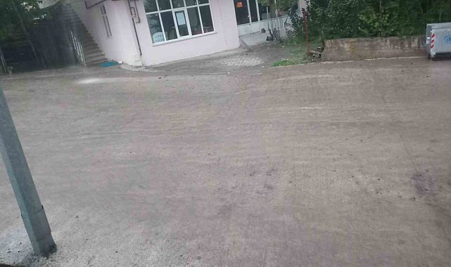 Posof'ta sağanak yağış etkili oldu