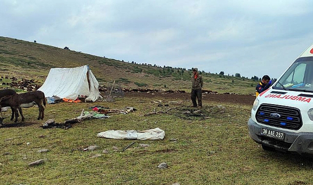 Sarıkamış&#039;ta yıldırım düşmesi nedeniyle 2 çoban yaralandı