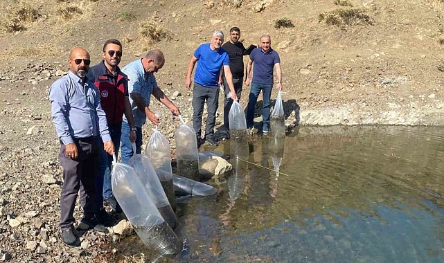 Tunceli'de doğal göle, 80 bin pullu yavru sazan bırakıldı