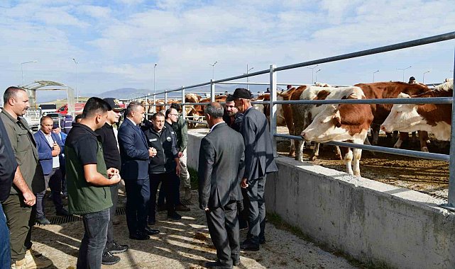 Vali Çiçek, Ardahan hayvan pazarında incelemelerde bulundu