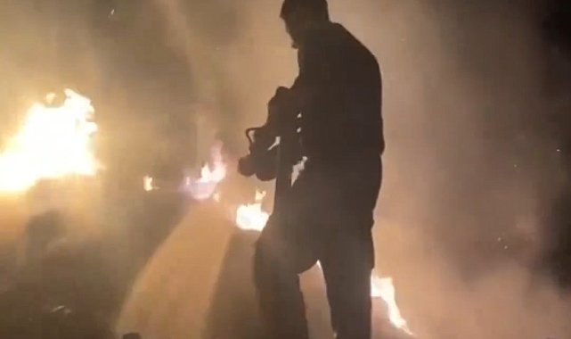 Van'da 2 bin 600 bağ ot alev alev yandı
