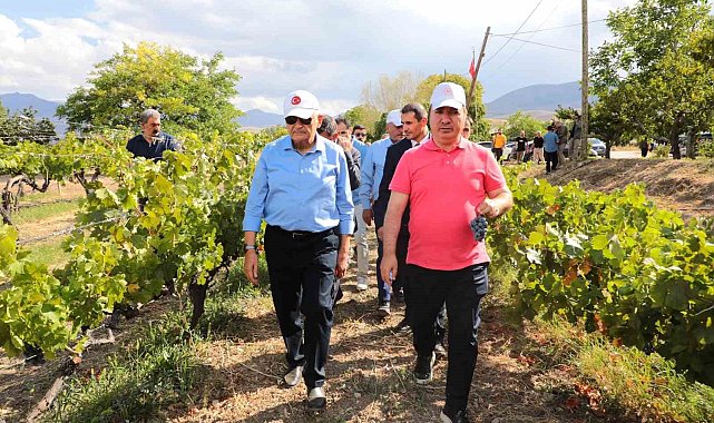 Yıldırım yeni üzüm çeşitleri hakkında bilgi aldı