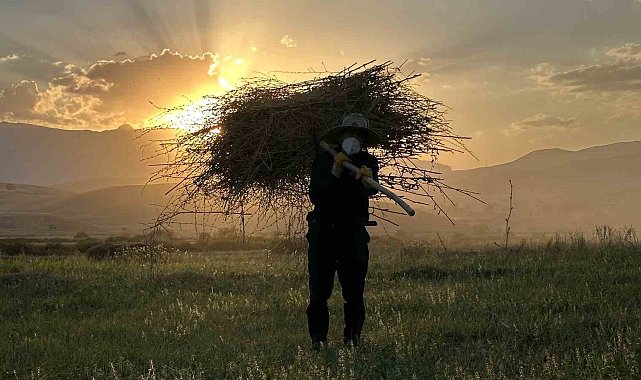 Yüksekova'da çiftçilerin kış hazırlığı başladı