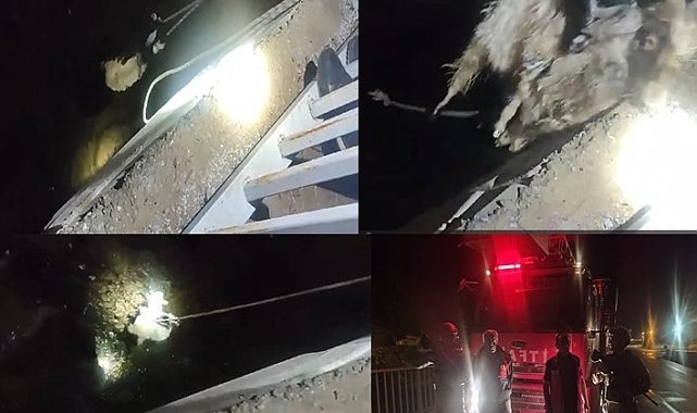 Zap Suyu'nda nefes kesen oğlak kurtarma operasyonu