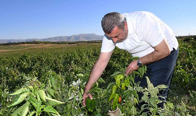 ABD'nin kapya biberi Malatya'dan