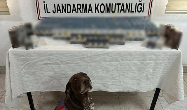 Ağrı'da kaçakçılık operasyonu