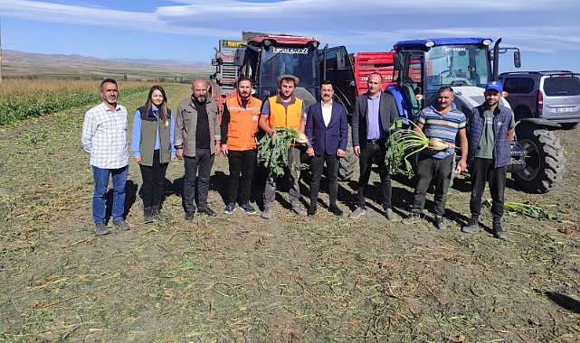 Akyaka'da şeker pancarı hasadı devam ediyor