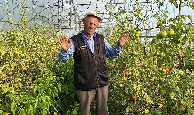 Akyakalı üreticinin tek isteği su