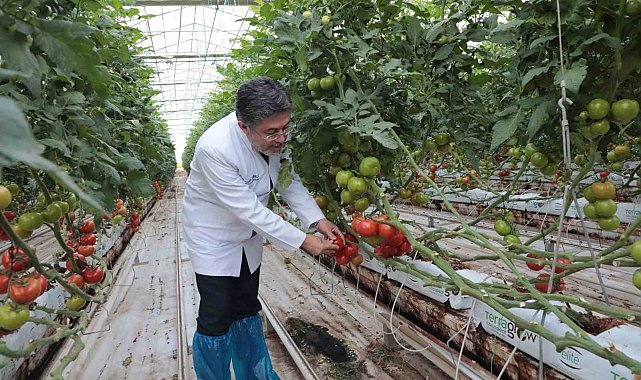Bakan Yumaklı, Diyadin Tarıma Dayalı İhtisas Sera Organize Sanayi bölgesinde incelemelerde bulundu