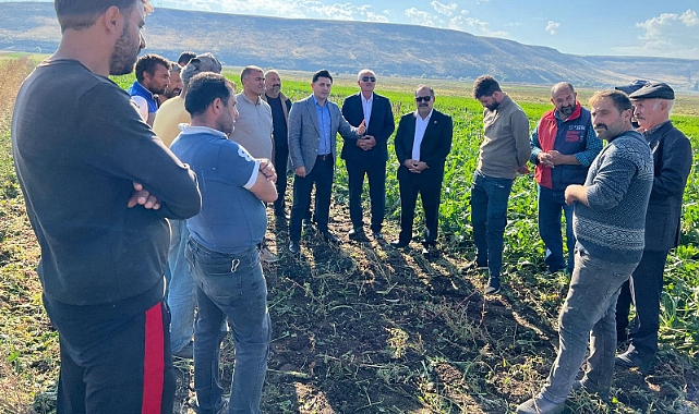 Başkan Adıgüzel, üreticilerin yanında