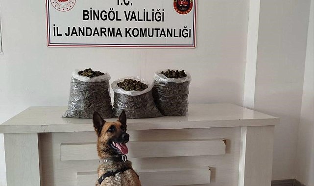 Bingöl'de 4,5 kilo esrar ele geçirildi