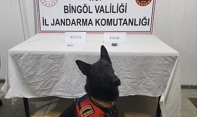 Bingöl'de jandarma ekipler suçlulara göz açtırmıyor