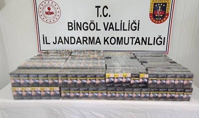 Bingöl'de kaçak kazı yapan 2 kişi yakalandı