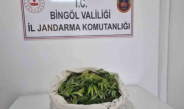 Bingöl'de uyuşturucu operasyonu