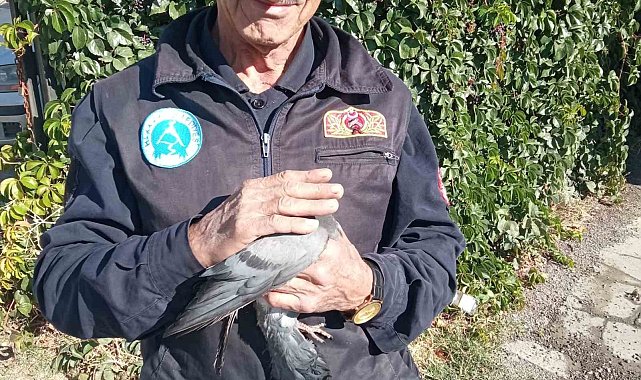 Çatıya sıkışan güvercini itfaiye kurtardı