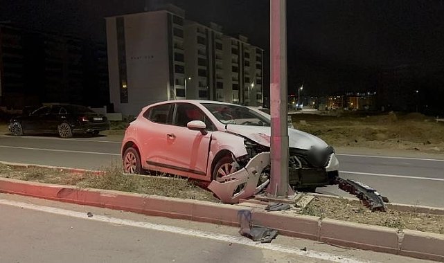 Elazığ'da otomobil aydınlatma direğine çarptı: 1 yaralı